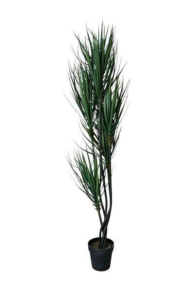 Generic Artificial Yucca Tree 5F 1.7m
