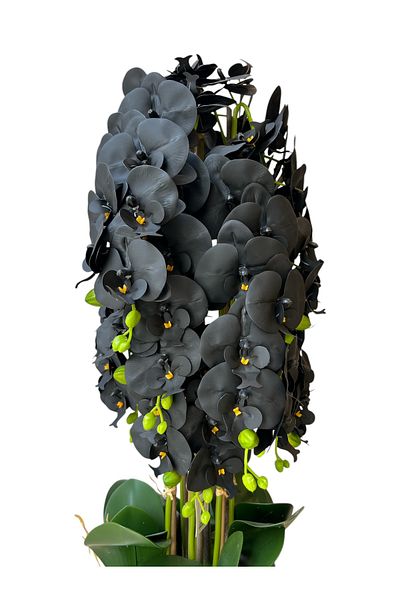 Generic Artificial black orchid