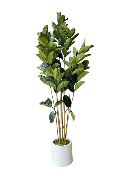 Generic 1.8m Artificial Green Rubber Tree