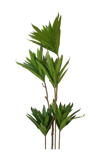 Generic Yucca Tree - 1m Artificial Tree