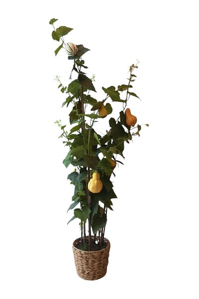 Generic 1.70m Artificial Climbing Pumpkin Tree