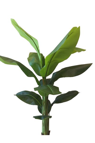 Generic 1.6m artificial banana tree