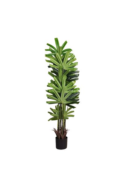 Generic 1.5m Artificial Rabsa Tree