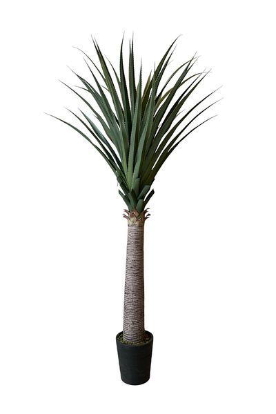 Generic 2.1m high artificial cactus tree