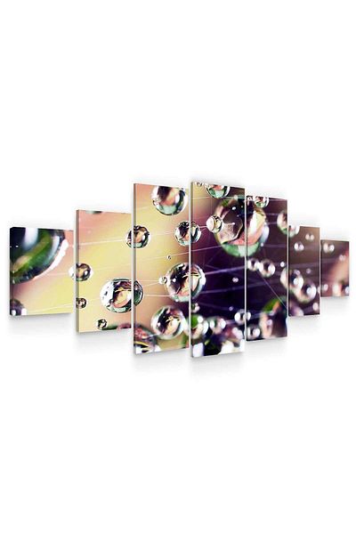 startonight Set Tablou DualView Startonight Roua, 7 piese, 100 x 240 cm