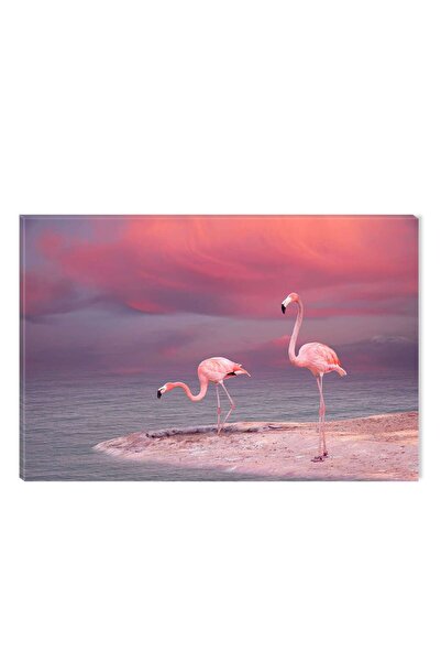 startonight Tablou DualView Startonight Flamingo, 80 x 120 cm