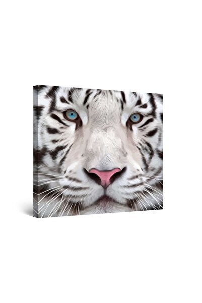 startonight Πίνακας DualView Startonight με θέμα τη Σιβηρική Τίγρη, 60 εκ. x ...