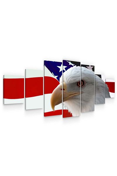 startonight Set Tablou DualView Startonight Un vultur american, 7 piese, 100 x 240 cm