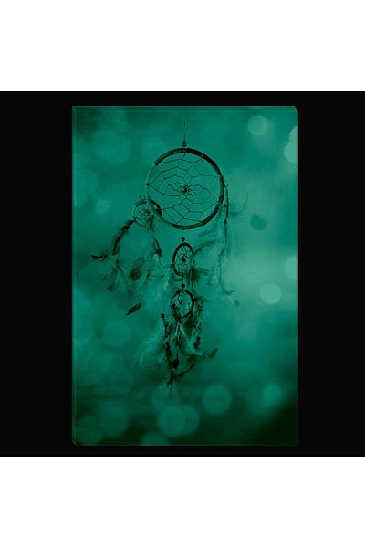 startonight Tablou DualView Startonight Dream Catcher II, 60 x 90 cm