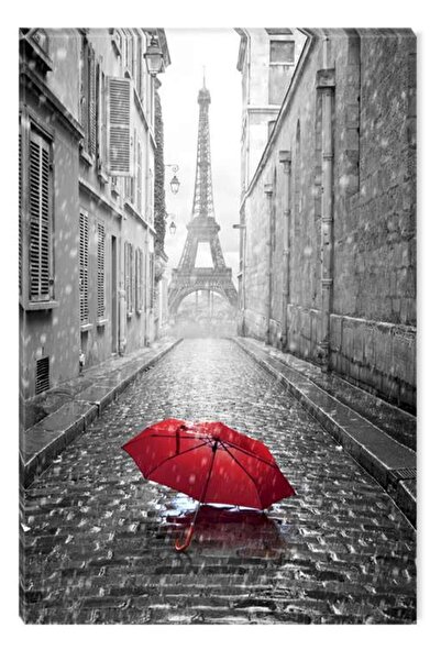 startonight Tablou Alb-Negru Abstract Startonight, Umbrela in Paris, 60 x 90 cm