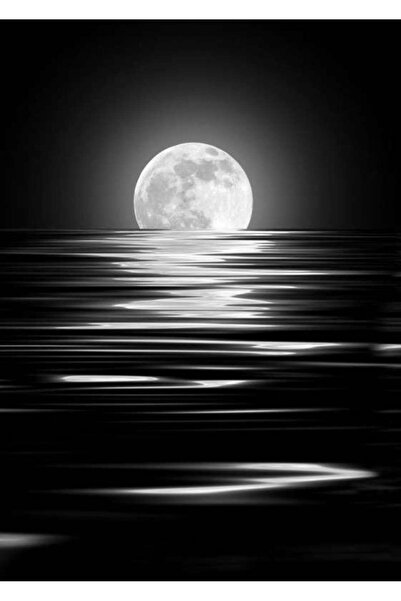 startonight Tablou DualView Startonight Luna, 60 x 90 cm