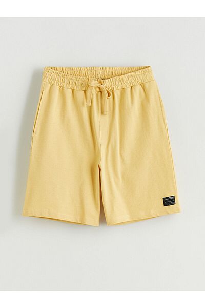 LC Waikiki Ανδρικό σορτς Standard Fit