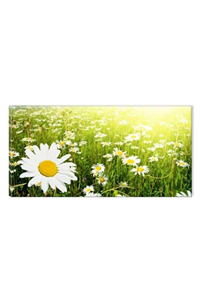 startonight Tablou DualView Startonight Camp cu margarete, 60 x 120 cm