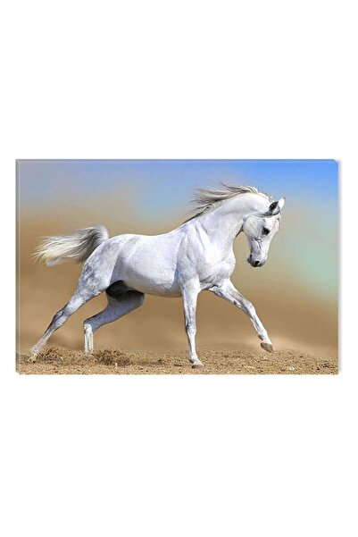 startonight Картина с арабски кон DualView Startonight, 80 x 120 см