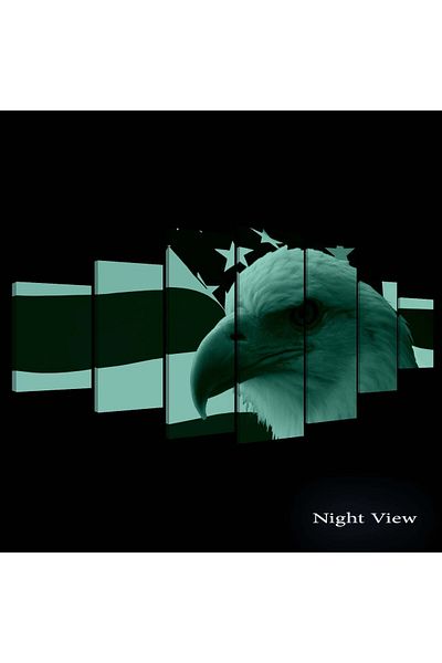 startonight Set Tablou DualView Startonight Un vultur american, 7 piese, 100 x 240 cm