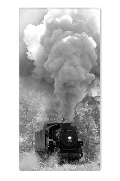 startonight Tablou DualView Startonight Tren cu aburi, 60 x 120 cm