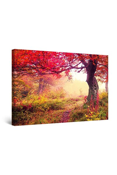 startonight Tablou DualView Startonight Copac rosu, 80 cm x 120 cm