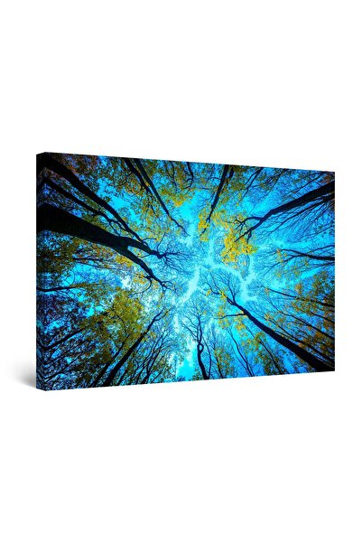 startonight Tablou DualView Startonight Deasupra copacilor, 90 cm x 60 cm