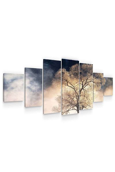 startonight Set Tablou DualView Startonight Copac misterios, 7 piese, 100 x 240 cm
