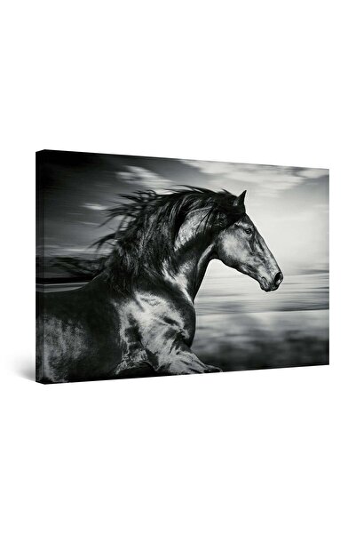 startonight Tablou DualView Startonight Calul Negru, 90 cm x 60 cm