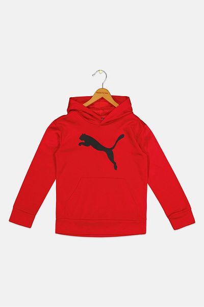 Puma Kids Boy Sportswear Fit Brand Logo Hoodie, Red