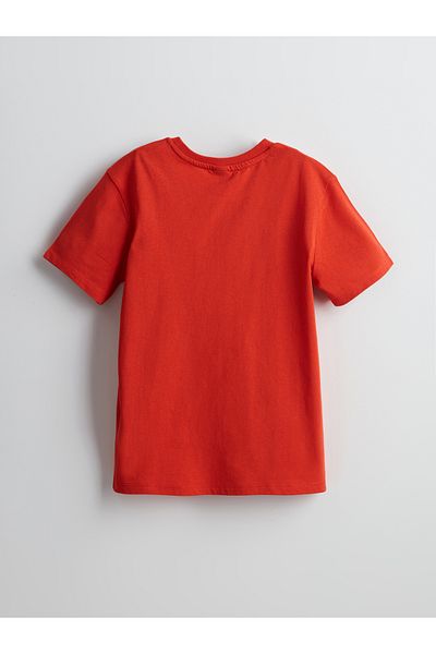 LC Waikiki Crew Neck Boy's T-Shirt