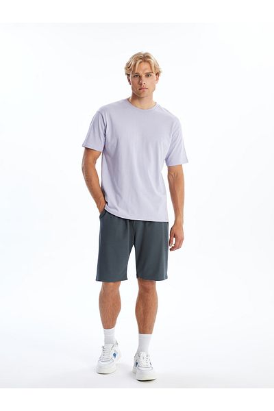 LC Waikiki Standard Fit Men's Shorts