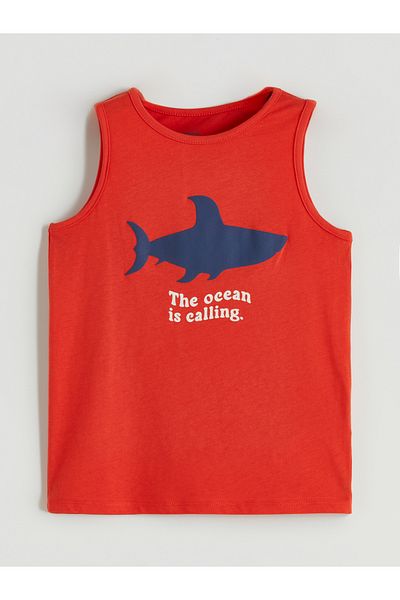 LC Waikiki Crew Neck Printed Boys' Athlete