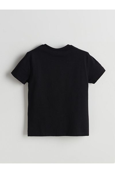 LC Waikiki Crew Neck Boy's T-Shirt