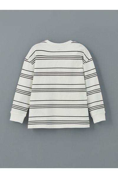 LC Waikiki Crew Neck Striped Boy T-Shirt