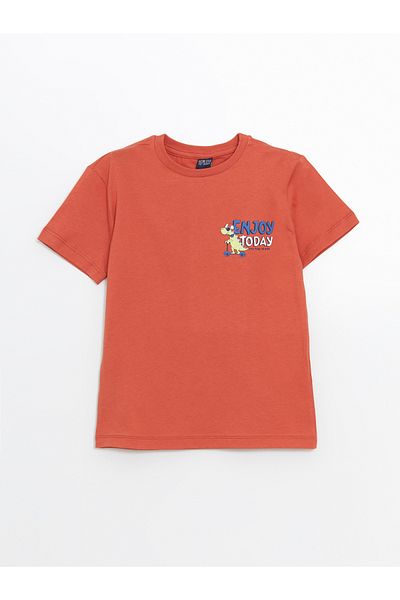 LC Waikiki Crew Neck Boys T-Shirt and Shorts
