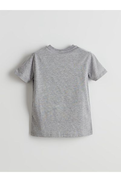 LC Waikiki Crew Neck Boy's T-Shirt