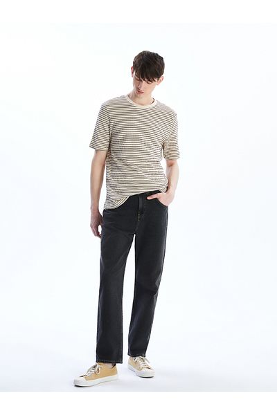 LC Waikiki Crew Neck Striped Men's T-Shirt