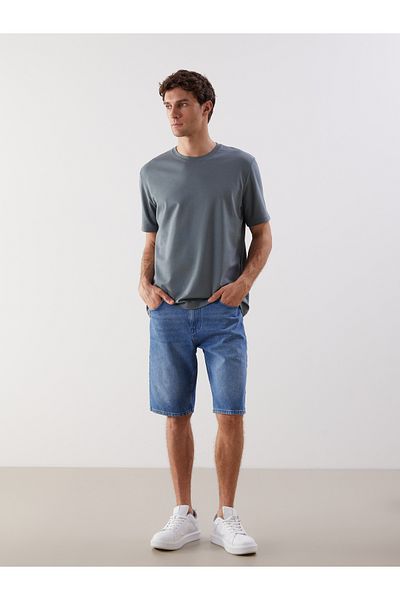 LC Waikiki Crew Neck Men's T-Shirt