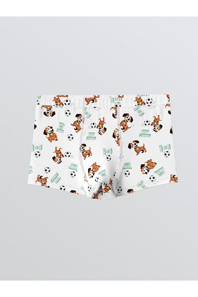 LC Waikiki Set de 3 boxeri pentru băieți imprimați