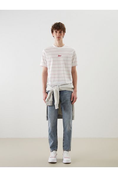 LC Waikiki Crew Neck Striped Combed Cotton Men's T-Shirt