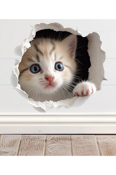 Sim Tasarım - Broken Wall Kitten Decorative Wall Sticker on the Socket