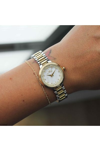 FERRO F21493D Women's Wrist Watch with Steel Band