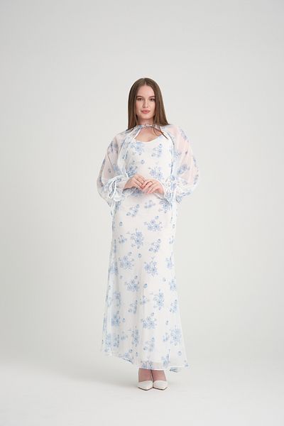 Stylish Soft floral chiffon dress