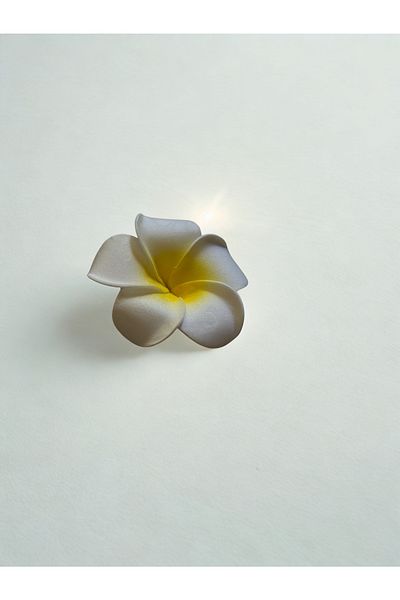 Plantarrium Design Hawaii Plumeria Flower Pinched Foam Buckle 5.5cm