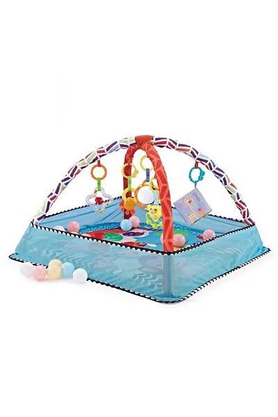 rexa Baby Play Mat Baby Activity Gym Mat with 5 Infant Learning Sensory Baby Toys for Sensory