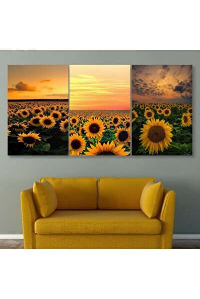 4gdran ثلاث لوحات قماشية مودرن مع برواز بني مجوف