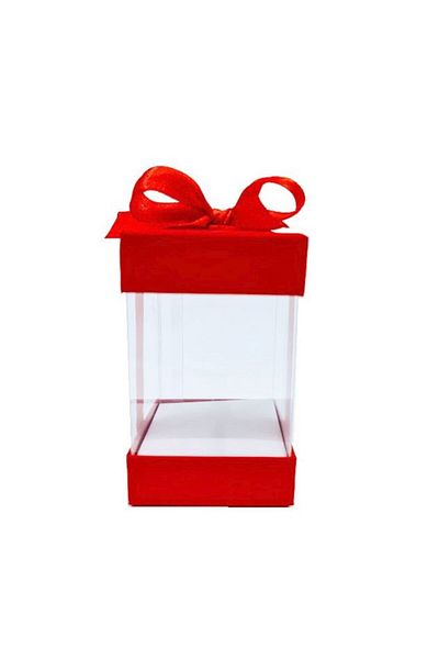 OEM Set 6 Transparent Boxes with Red Silk Bow, 6x6x10 cm