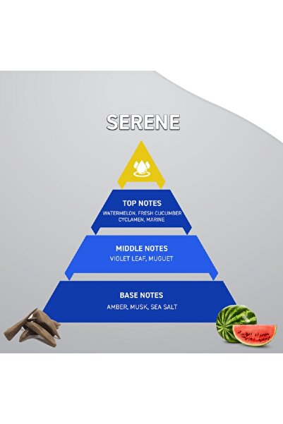 Smell معطر جو طويل الأمد برائحة البهجة من سمايل، 250 مل، S150