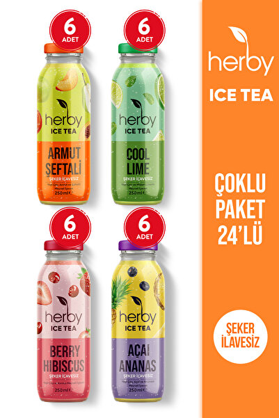 Herby Ice Tea Soğuk Çay Şeker İlavesiz Karışık Deneme Paketi 250 ml x 24