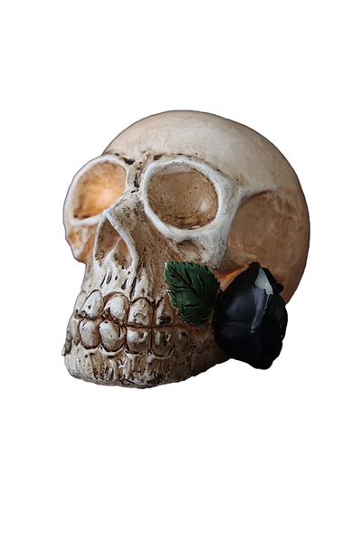 OEM Decoratiune LED pentru petrecere, 7 x 6..5 x 5.5, model craniu, rasina, multicolor