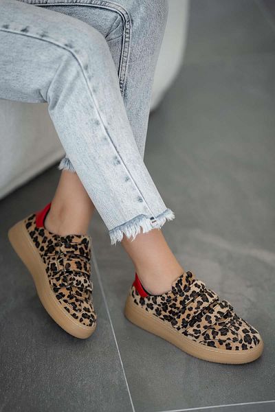 Parponi Tatu Banded Women's Tights Sports Shoes Leopard
