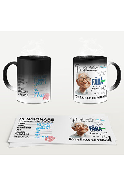 OEM PENSIONAR Thermosensitive Mug, Model 3, black, ceramic, 330ml