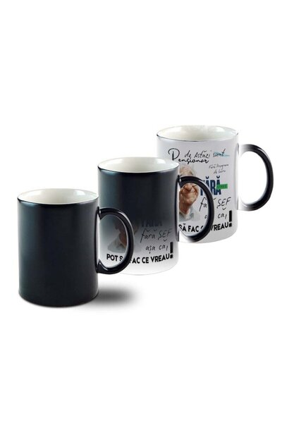 OEM PENSIONAR Thermosensitive Mug, Model 3, black, ceramic, 330ml