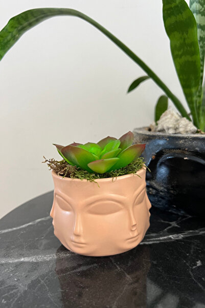 ardesta Vază figurată din pulbere de piatră realizată manual + suculente arti...